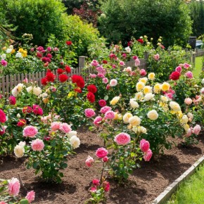 ������ ���� ����� ����� ������ �������� � ����� ����