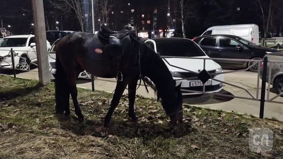 ������� ����� � ���������