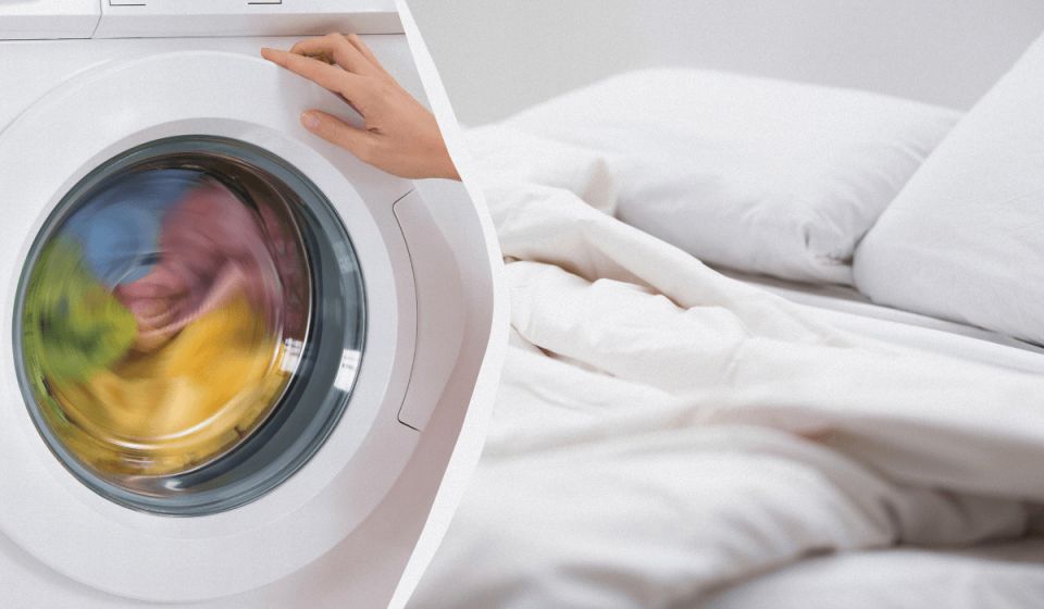 ������� ������ ������: ��� ��������� ���� � ����� ����� �����