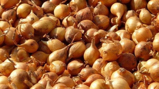 ��� �������� ���������� ������ ����: ������� �������� ���������