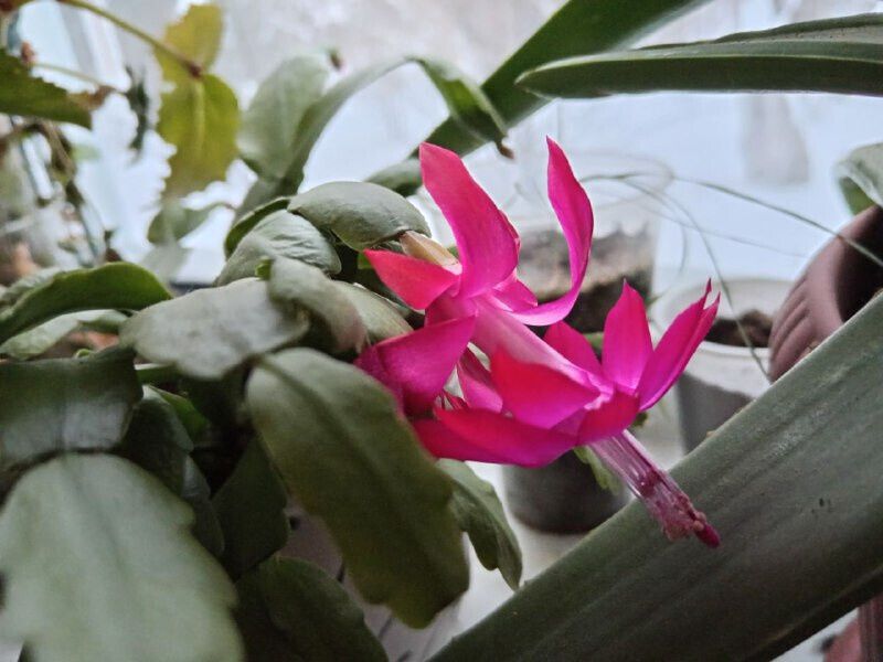 ��� �� �������� �������� ����������: ������ ������ �� �����