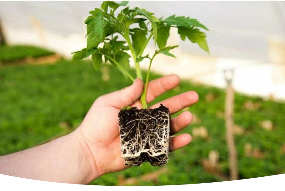 ������� ����� � ����� ��������� ������: ������� �������� ��������