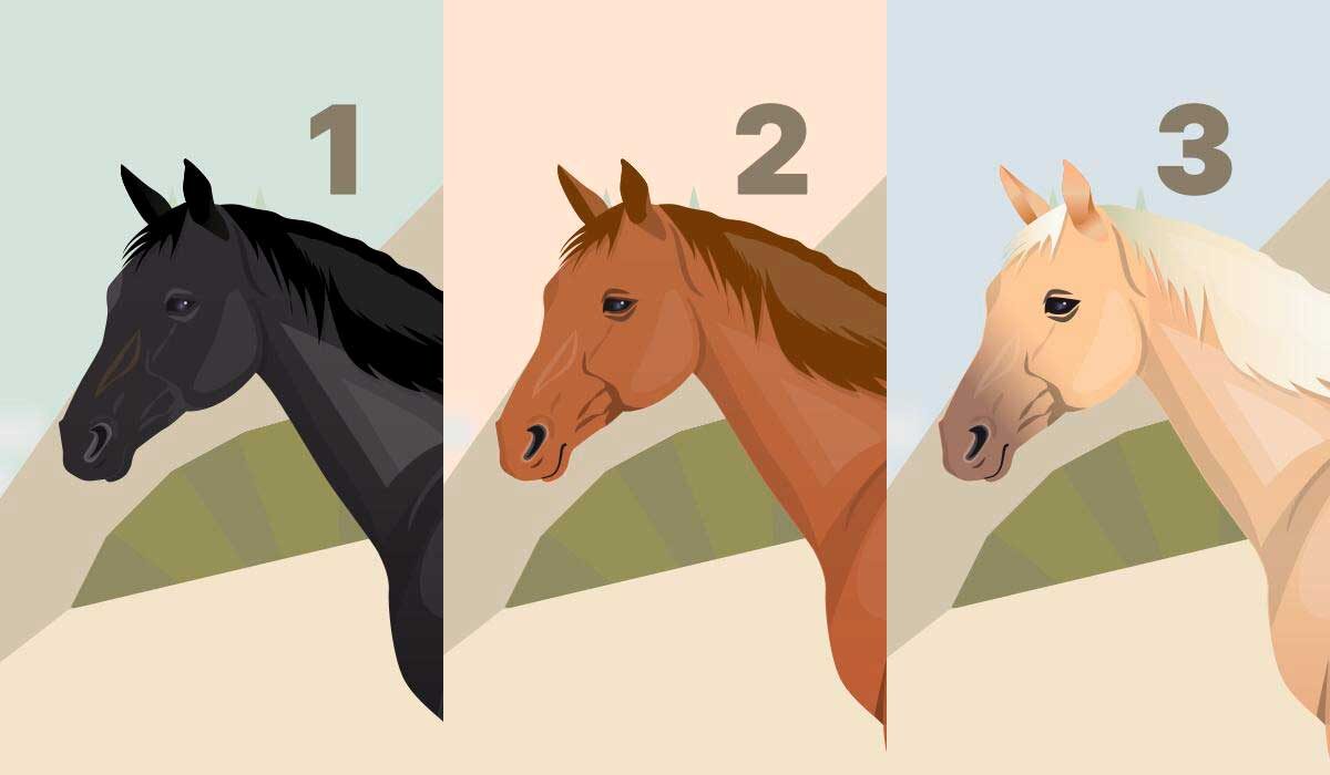 3 лошади — 3 судьбы: один выбор, который многое расскажет о вашем будущем