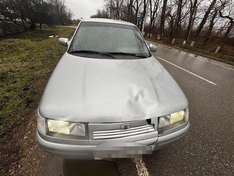 � ����������������� ������ ���������������� �������-������������ ������������ � ������� �������������