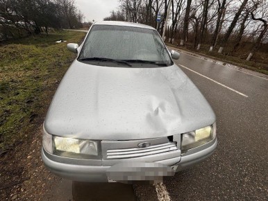 � ����������������� ������ ���������������� �������-������������ ������������ � ������� �������������