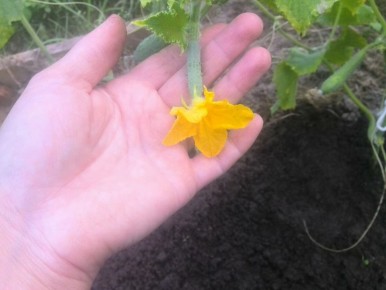 ��� ��������� ������ ������ � ��������� ������ � ��� ����