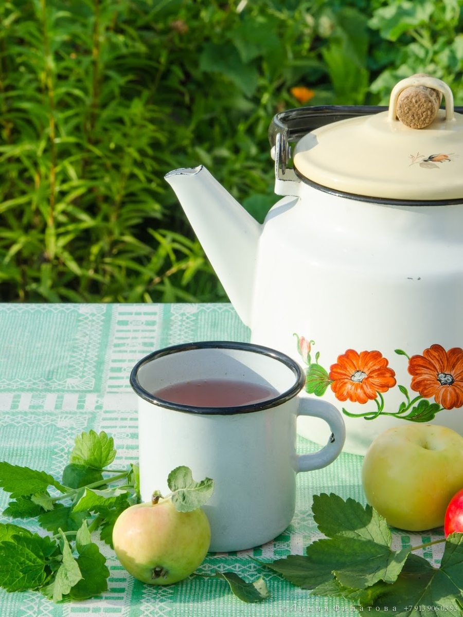 Как сделать дачный компот с яблоками и лесной зеленью: секреты и советы