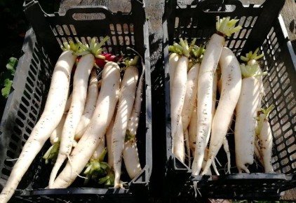 ����� � ��� ������ ������: ������� ��������� ������