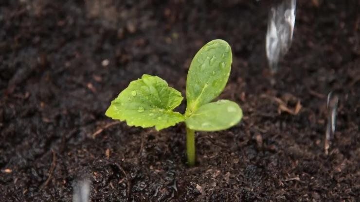 10 ��������, ������� ������� ��� ��������� ����������� ������