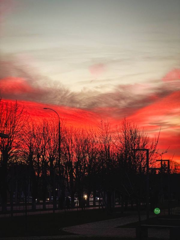 ���������� �����. ����� ���� � ���