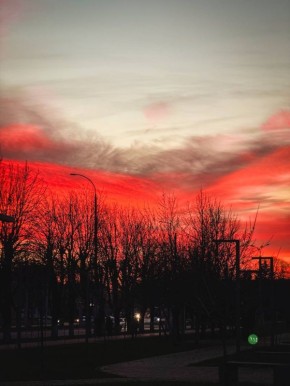 ���������� �����. ����� ���� � ���