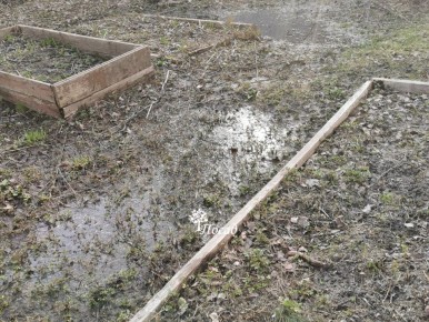 ����������� ������ ������� ���: ������� �� ������ ���������