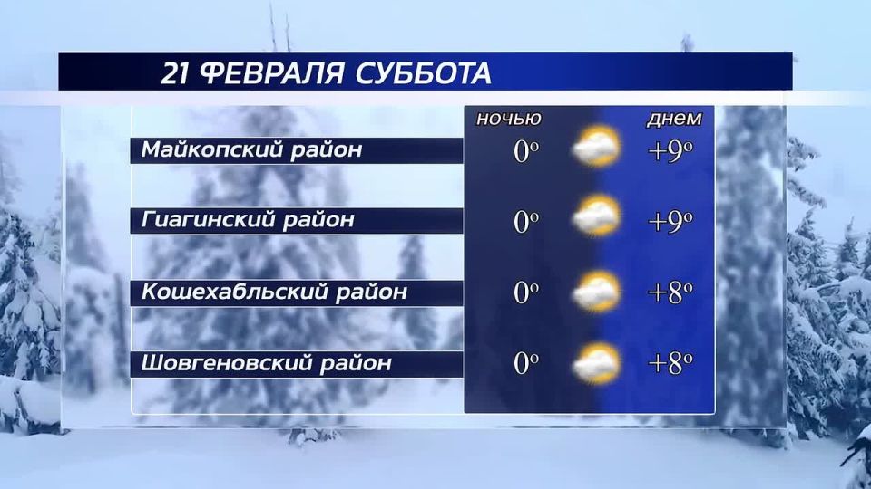 ������ ����!. ������ � ���������� �������, 21 �������