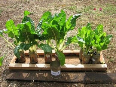 ��� �������� ������� ��������� �� ���� ������� � ������� ��������