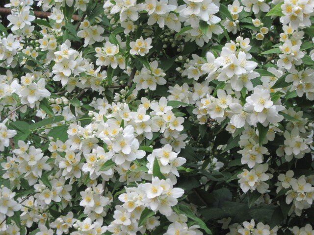 ��� ��������� ������� ������� ��� ������� �������� �������