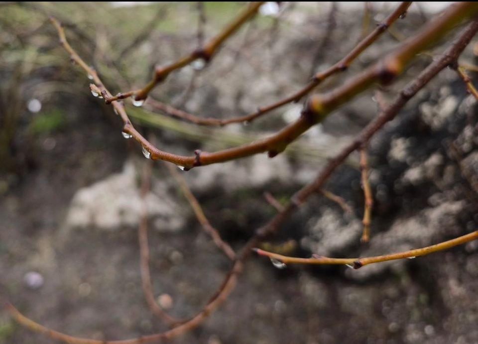 23 ������� � ������ �������� �����