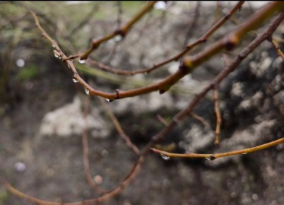 23 ������� � ������ �������� �����