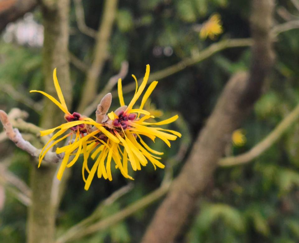 24 ������� � ������ ��������. ����������� ������� � ��������� ����� +3� +9 �C. ����� 1-2 �/�.� � �����: