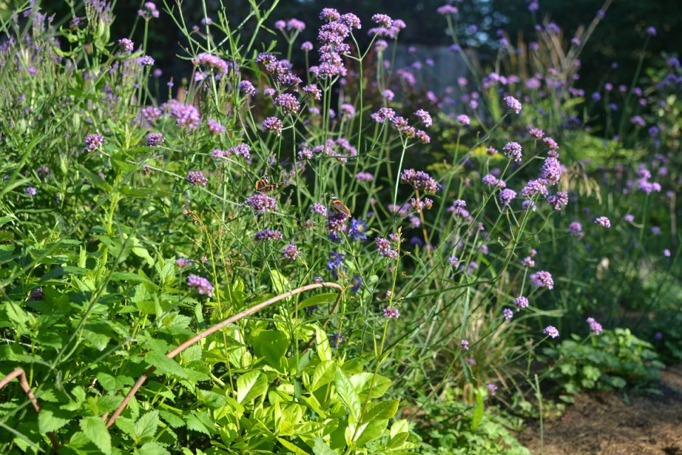 ��������� ����� �������: ��� ���� ��� ������ ����� ��������