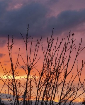 25 ������� � ������ �������� �����