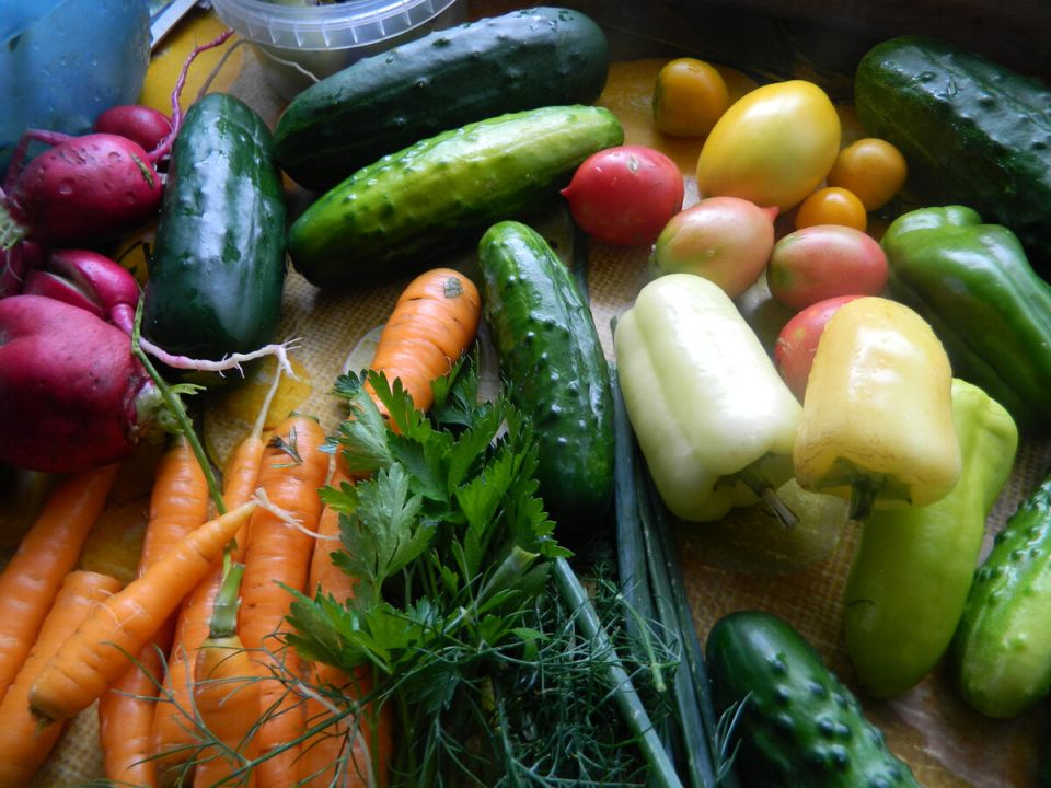 ��� �������� ������� ������ ������ ���� � ������� ������������� ��������