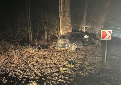 � �������� � ����������� ��� � ���������� ������ ���������������� 2 �������-������������ ������������, � ������� ���������� 3 ��������