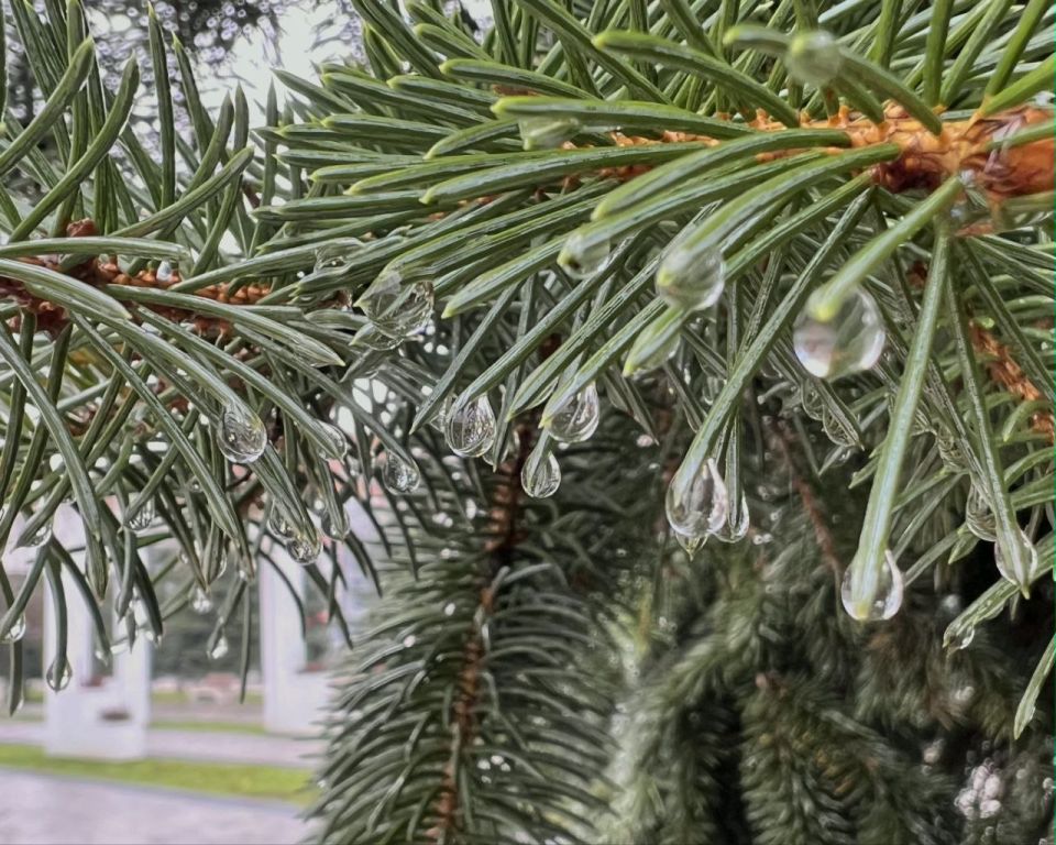 26 ������� � ������ ��������, ������� �����