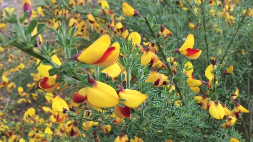 ������� ������������� ������� ��������� � ����� �� ���