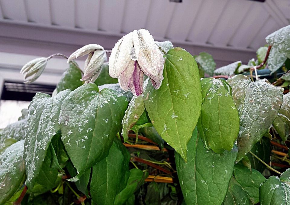 ��� ����������� ������� � ����: �������� ������ ������