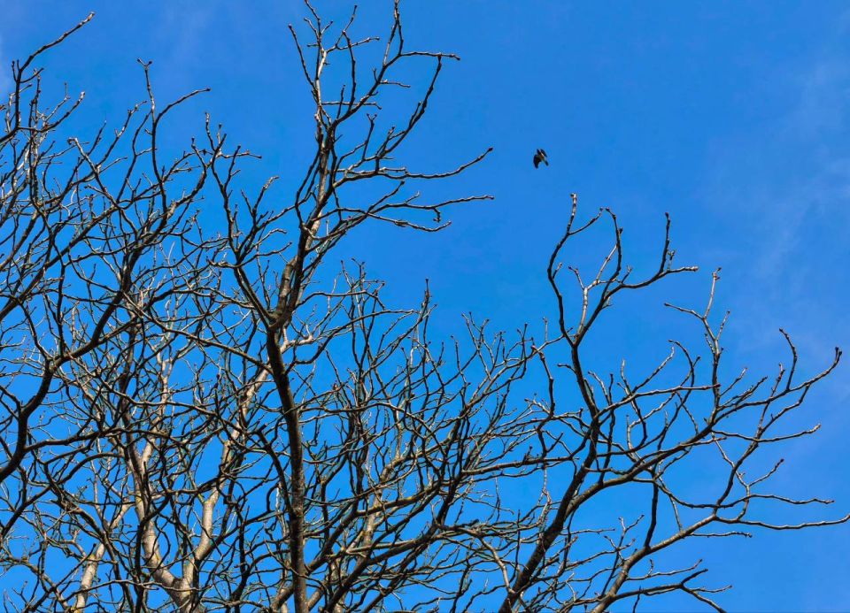 27 ������� � ������ ��������