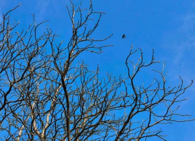 27 ������� � ������ ��������