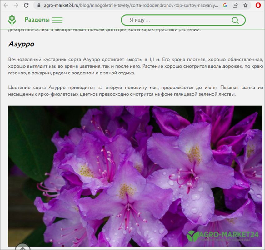 ��� �������� ���������� �������� � ����: ������ � ����