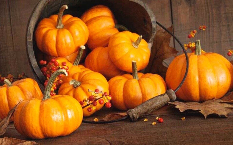 �����: ���������� ������� ��� ������ �����