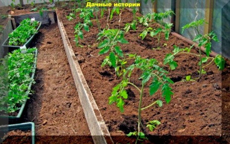 ��� ��������� ���������� �������: ������ ��� ���������� ���������