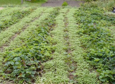 ����������: ��� ������ �������� ����������� � ������������ ���������