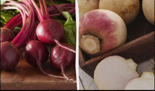 ��� ��������� �������� ������ �� �����: ������ ������