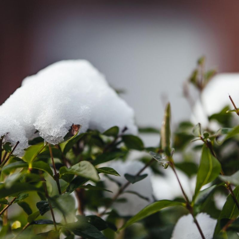 ������������ ����� � ���������: ������� ��������� � ������� �����