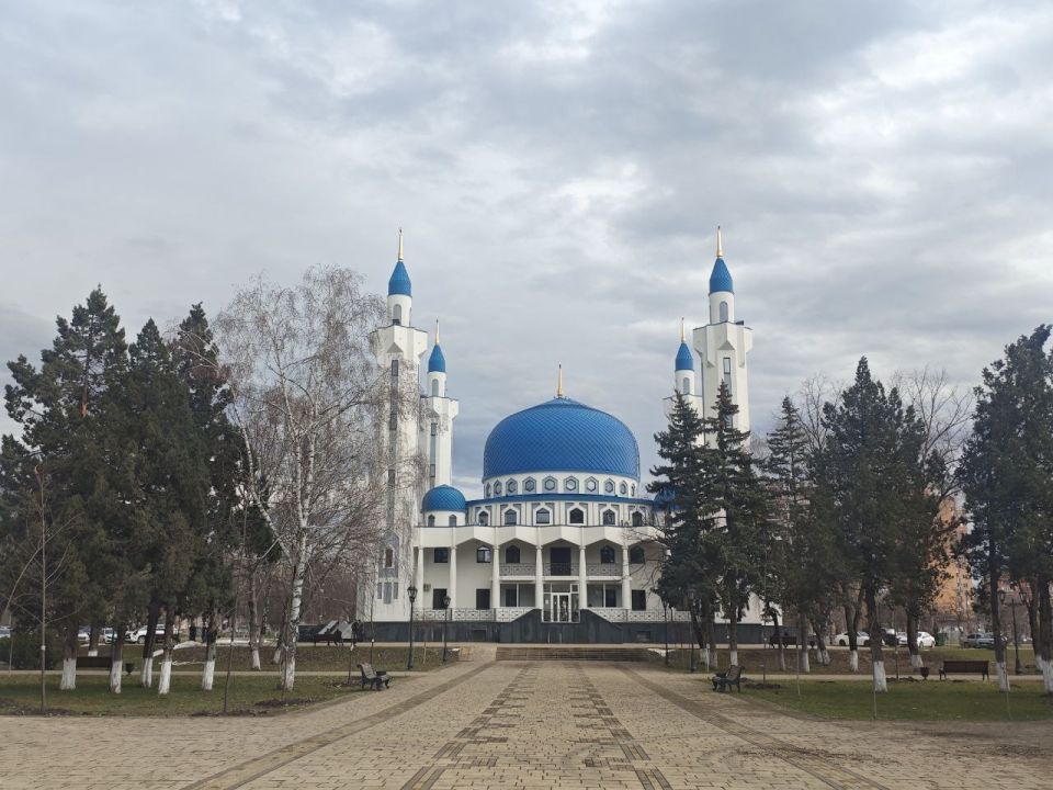 ������ � ������� �� 27 �������: