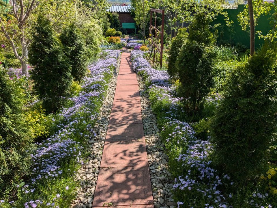 ��� ��������� ���: ��������� ����������� � ��� ������������ �������