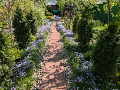 ��� ��������� ���: ��������� ����������� � ��� ������������ �������