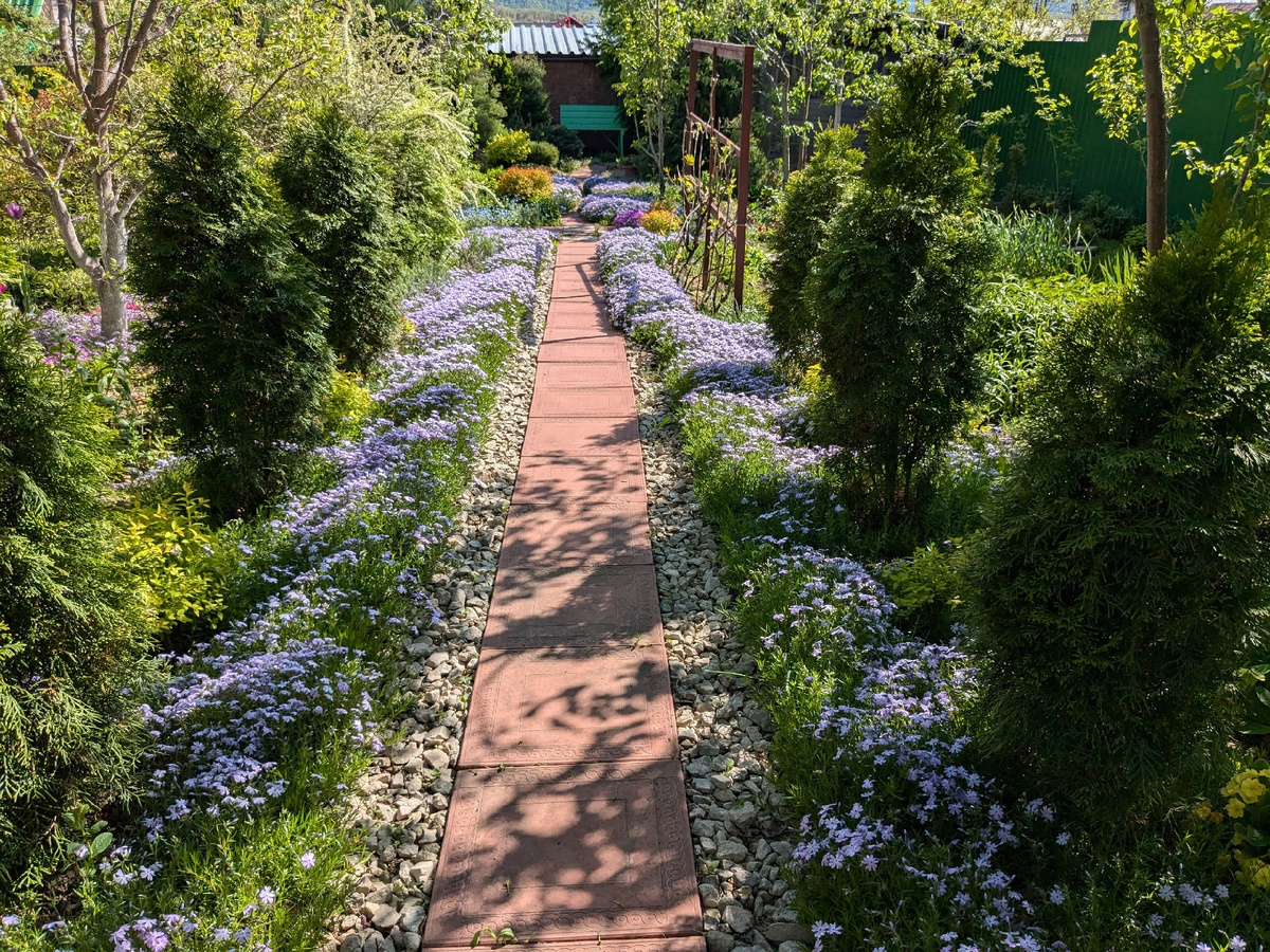 Сад цветочной феи: волшебное путешествие в мир растительной красоты