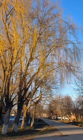 28 ������� � ������ �������