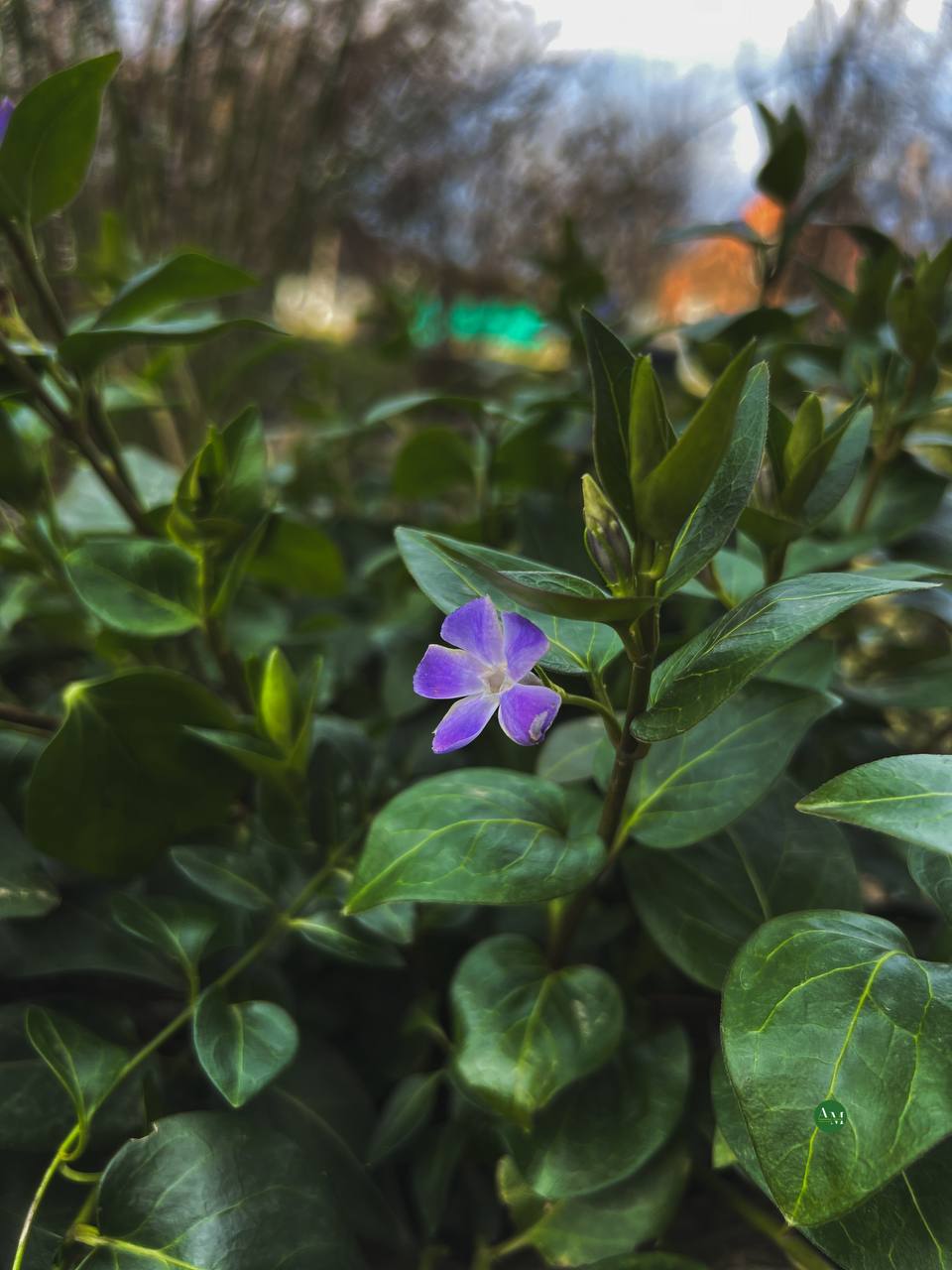 Гъатхэм ипэгъок1эу. Адыгэ макъ в МАХ Гъатхэм ипэгъок1эу. Адыгэ макъ в МАХ