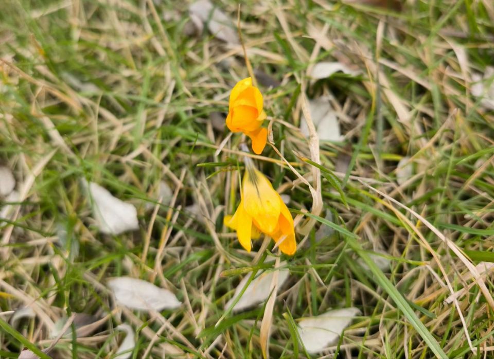1 марта в Адыгее безоблачно