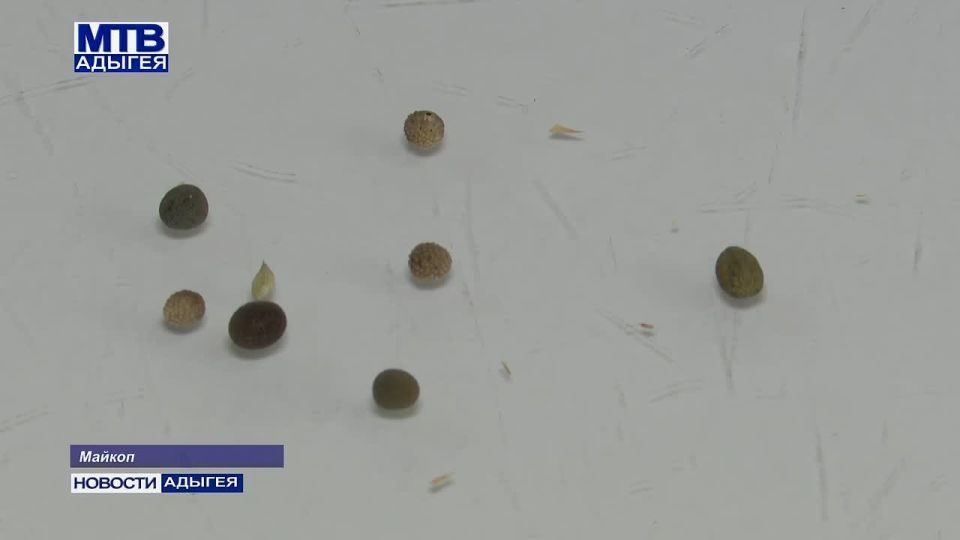 � ������������ ����� ������� ������� ��������� � �������� �������� ������ ��������������