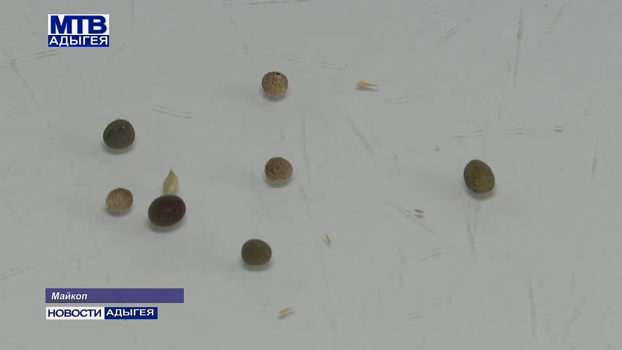 С приближением весны аграрии активно готовятся к посевной кампании яровых сельхозкультур