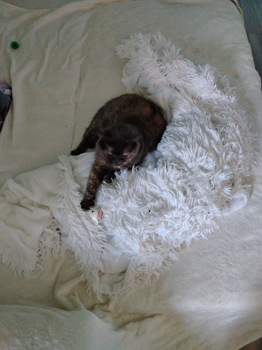 Металлическая салфетка: Новый уровень уборки