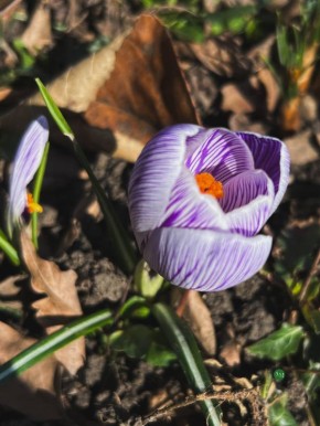 ������� �������1��. ����� ���� � ���