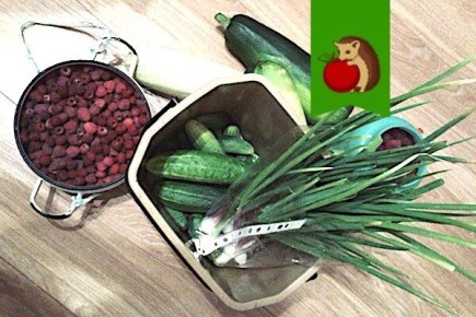 Что предсказывают народные приметы о урожае в 2026 году?