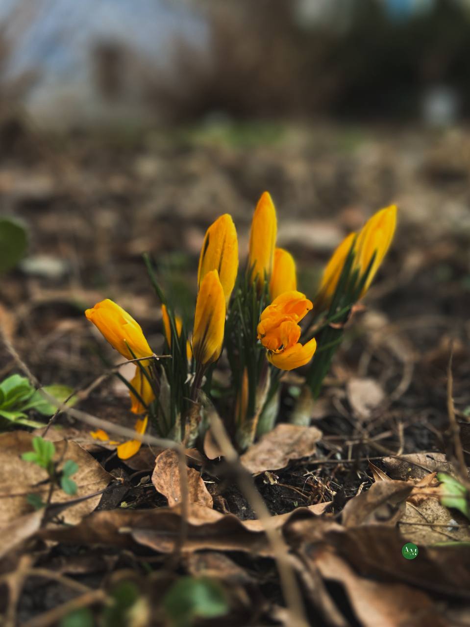Гъатхэм ипэгъок1эу. Адыгэ макъ в МАХ Гъатхэм ипэгъок1эу. Адыгэ макъ в МАХ
